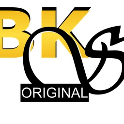 Logo Bk Style