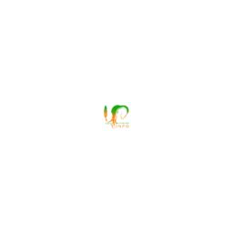Logo Côte d'Ivoire Infos