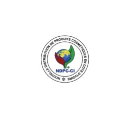 Logo NDPC-CI